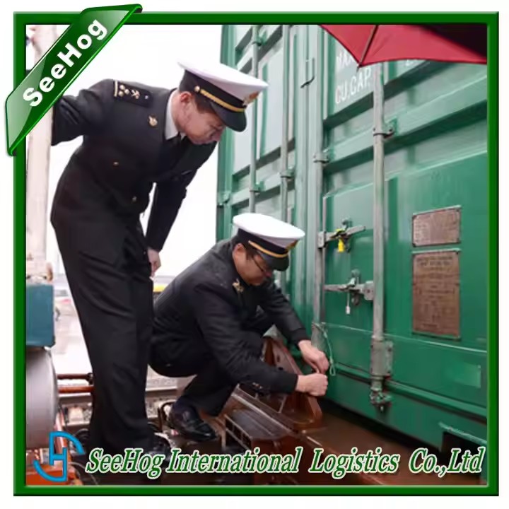Chinese Import Customs Agent - Cheap Shipping from China port